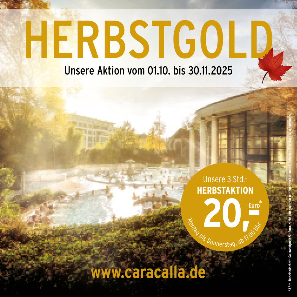 CT SocialMedia Herbstgold 2025